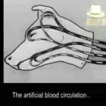 1940s animal test prove