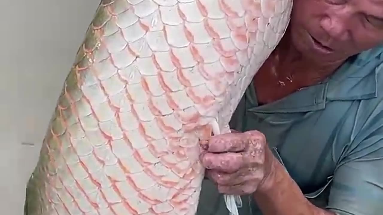 Amazing Fisherman Skills 😱