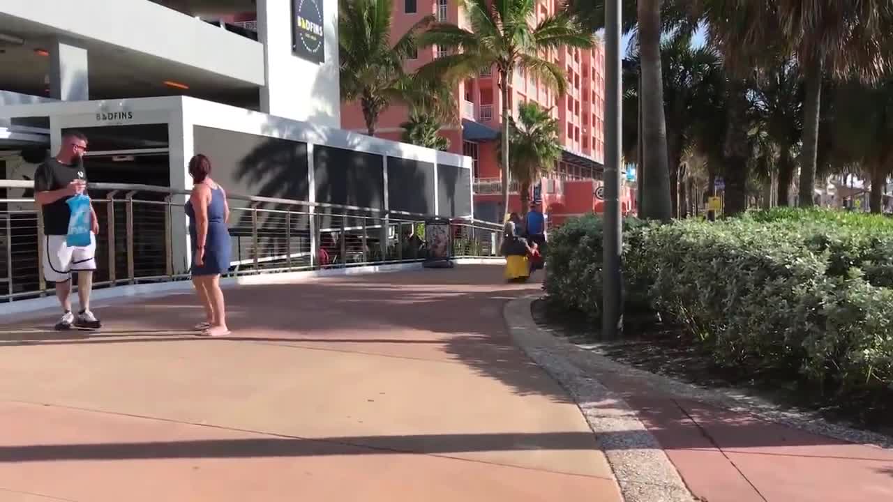 Leaf Blower-Powered Vehicle