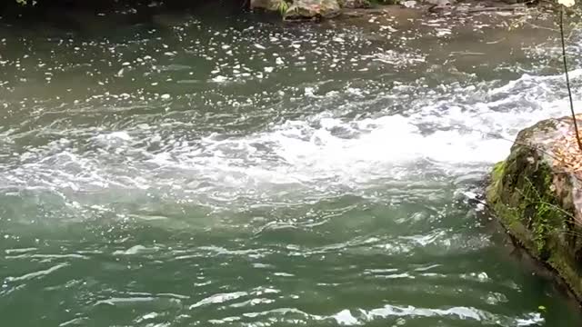 Horror! water pollution.Do not drink!