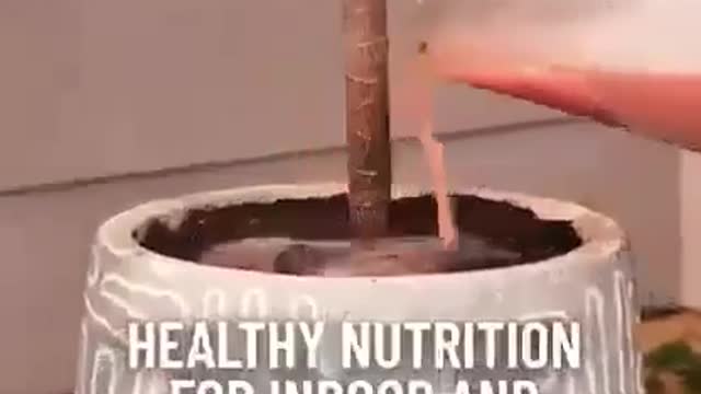 Growing food hack