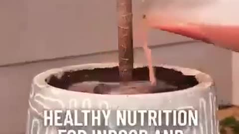 Growing food hack
