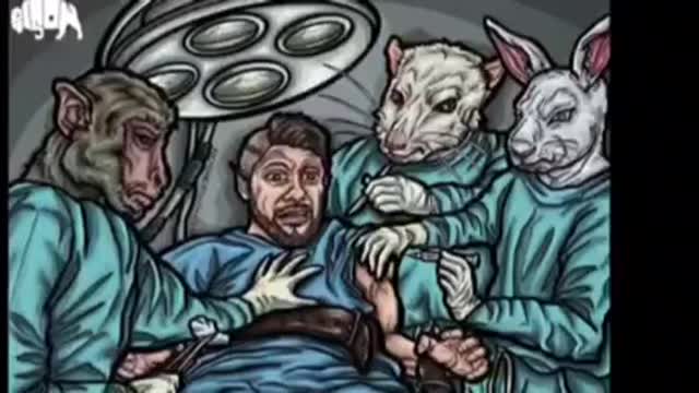 "What would happen if the animal world changed with humans?"