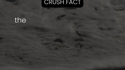 Crushes can make you believe in...