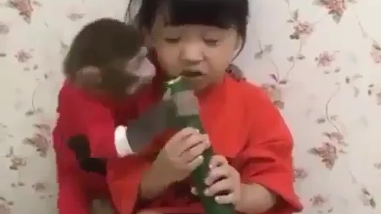 Chinese monkey