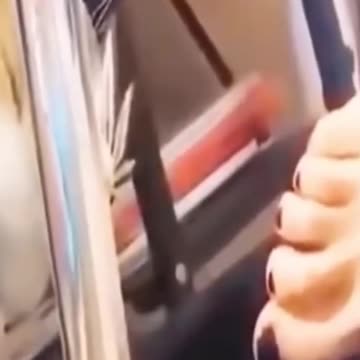 Leave Me Alone Stupid Man😂😂😂Funny Animals Cat and Dog Shorts compilation Try not to Laugh