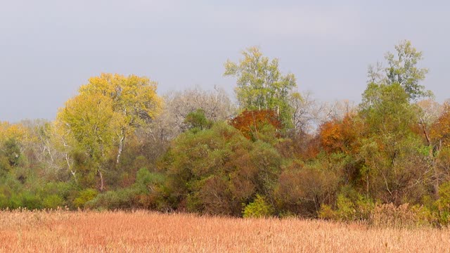 VERY BEAUTIFUL AUTUMN LANDSCAPES OF NATURE - 🍁