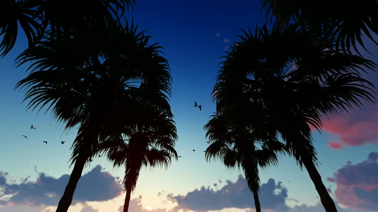 Going through a corridor of palm trees at dusk