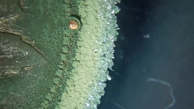 The alien penny experiment.