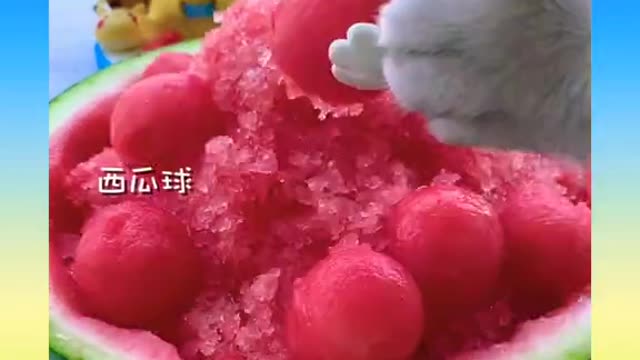 140.41_Cute and Funny Dog Videos Compilation_#https-__youtu.be_sr6v1uSNvrM