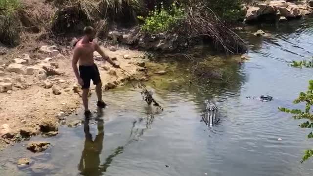 Bored Guy Playing with Gators During Self Isolation