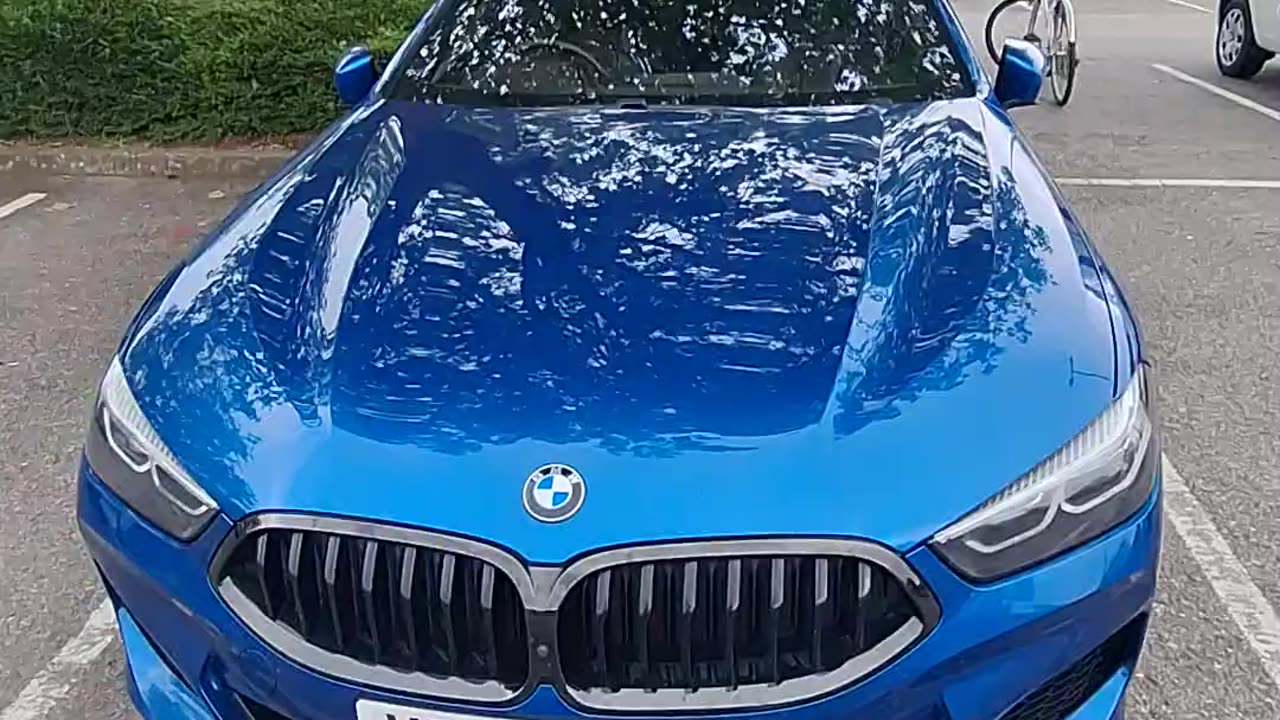 2019 BMW 8 Series