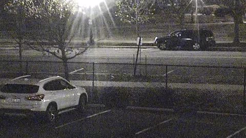 1905LOTS00Lot161st-MassNE_2021-01-06_02h00min01s483ms.mp4