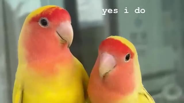 A DAY FULL OF LOVE AND HAPPINESS