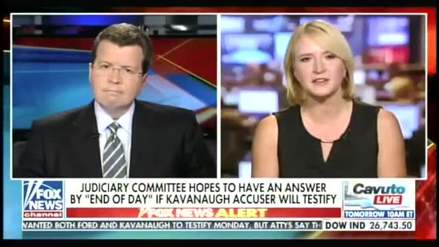 Nail Cavuto and Elizabeth Harrington discussion on Democrat plans