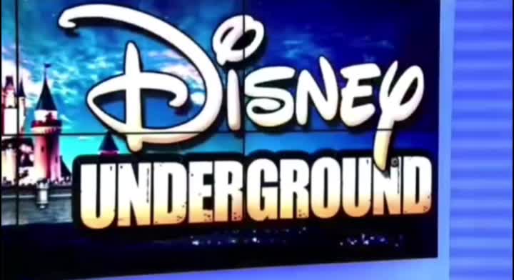 the other side that hides in the mirrors! (DISNEY)
