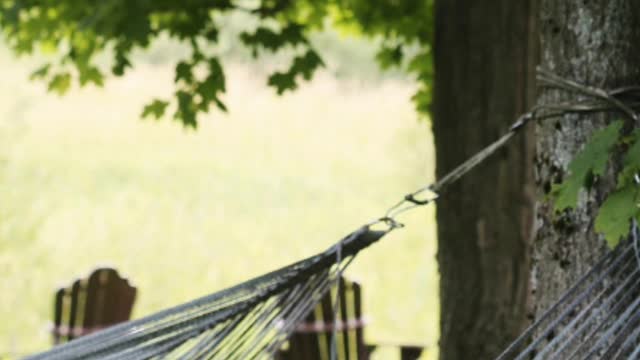 Curiosidade da Bíblia...