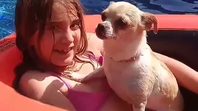 DOgy with His Owner In the Pool