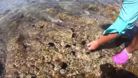 22 Dangerous Animals you Should Never Touch