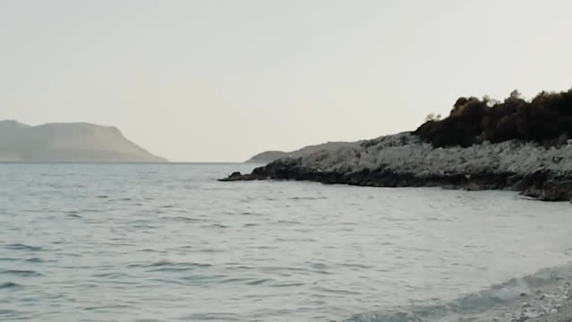 Go for a swim