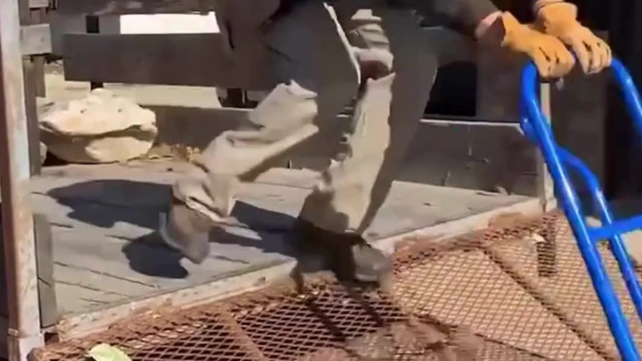 The end 😂😂😂 #funny #fails #shorts #reels #viral #fail