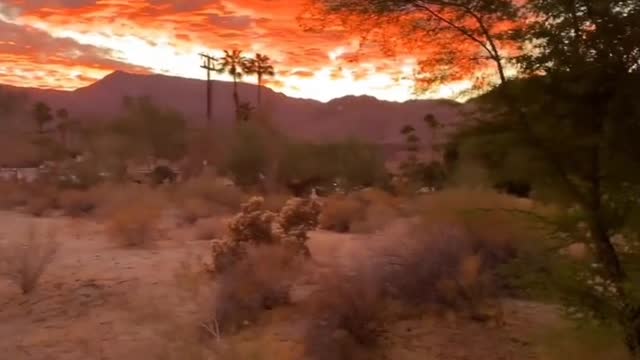 I go to nature to be soothed and healed, and to have my senses put in order.