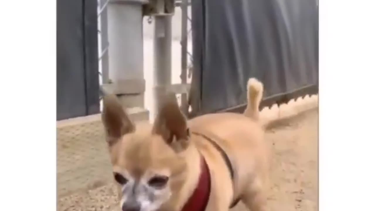Awww...so cute...nooot! 🤣🤣