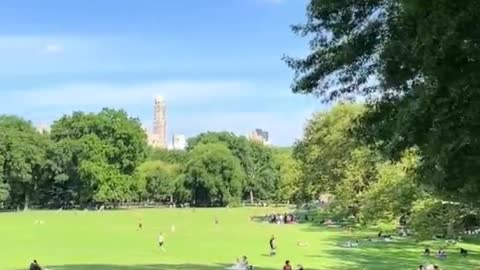 afternoon park time