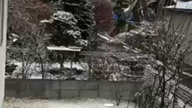 First snow of winter in part of Japan