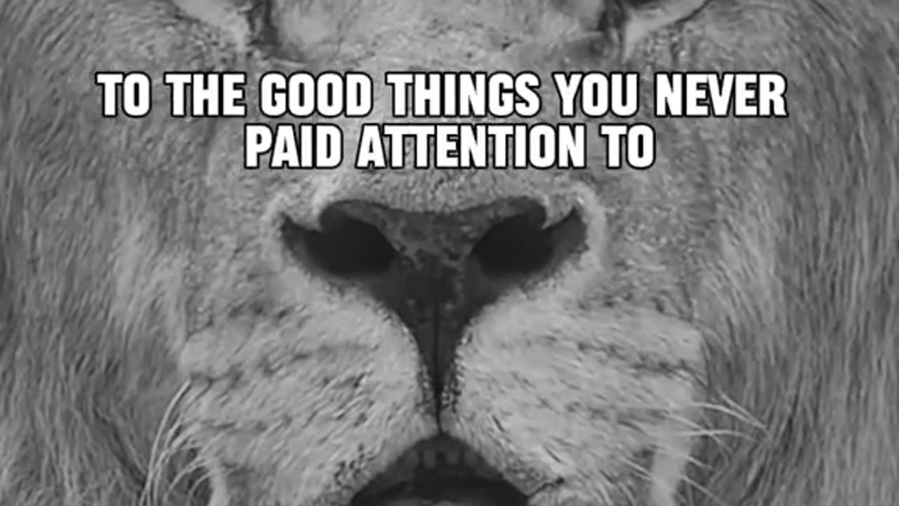 Tiger background white motivation video#truelife112 #trending #shorts #viral