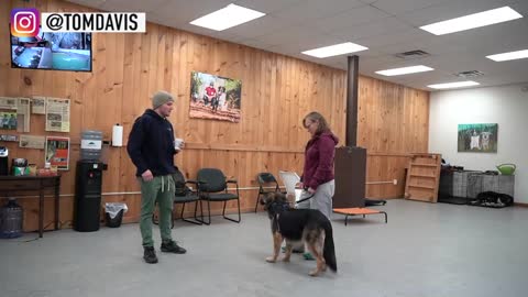 How to teach your dog to listen