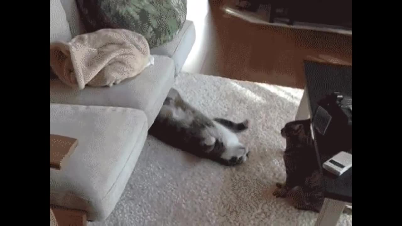 30 Seconds funny in clips