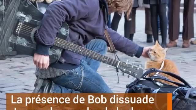 this man is at his end but what the cat does has changed his life forever