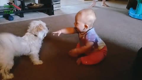 Cute Puppies play with Baby