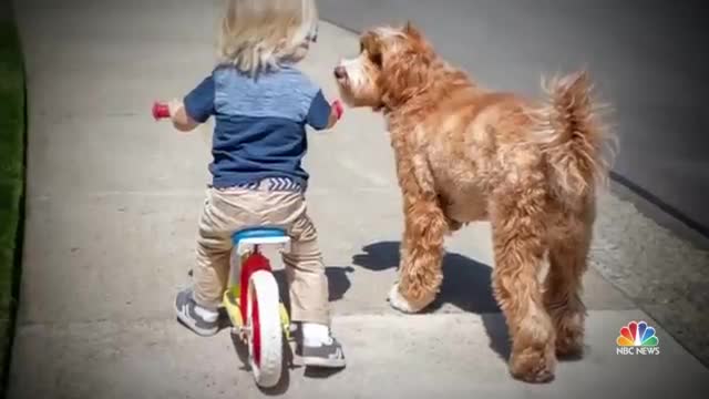 Oregon Foster Child’s Friendship With Dog Is Viral Internet Sensation