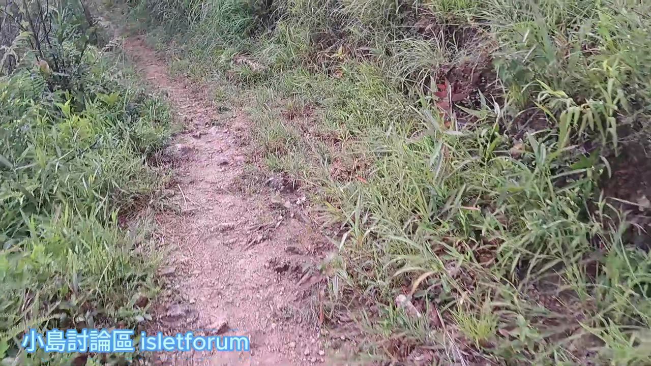 路,始終要向前行 we have to move forward continuously mhp3972 aug2024