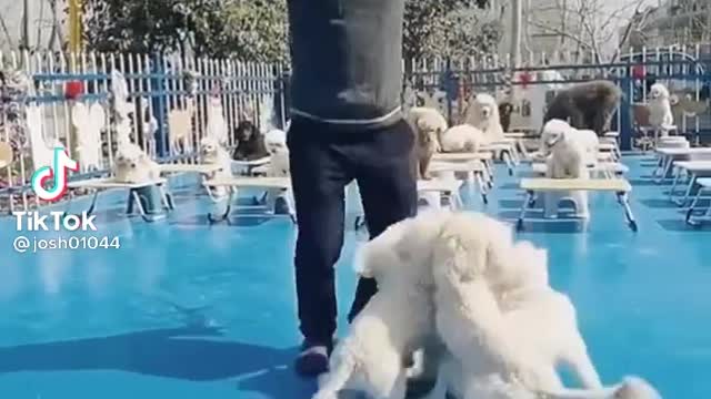 Lovely play