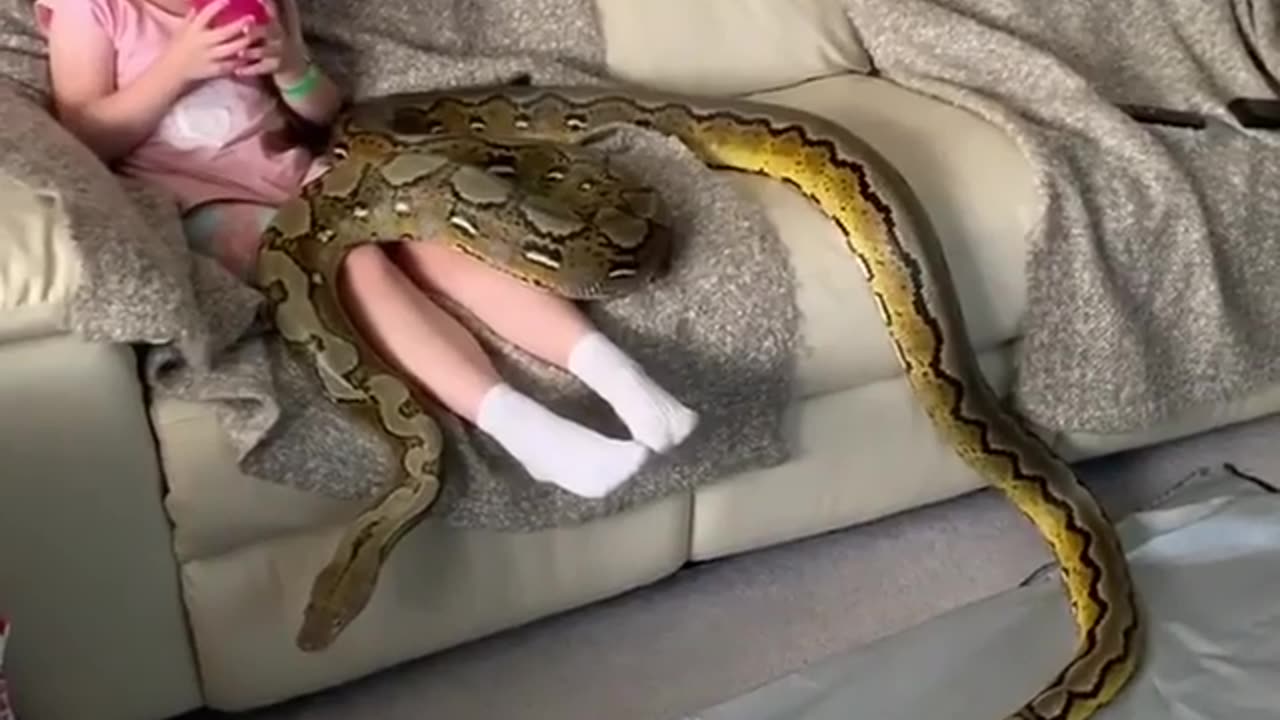 TRY NOT TO LAUGH 😆 Best Funny Videos Compilation 😂😁😆