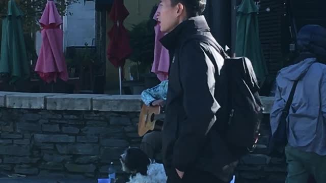 A dog singing with his friend