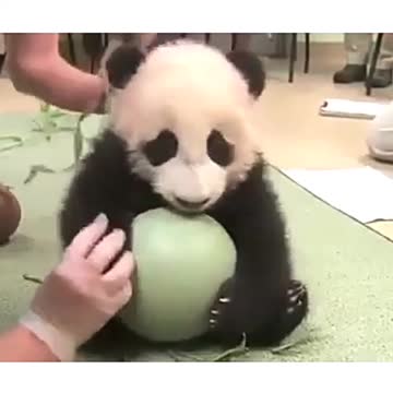 fall into the twilight clouds, and indulge with the