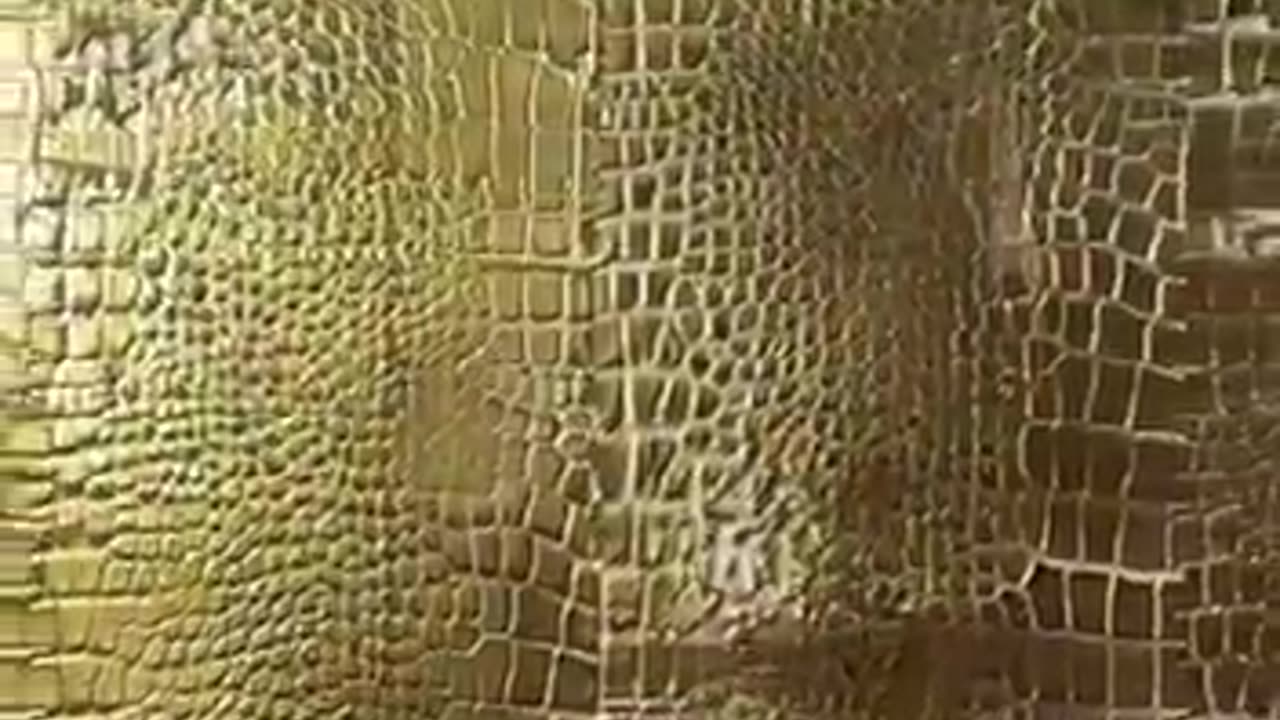 Wow! You must see it! Crocodile skin effect