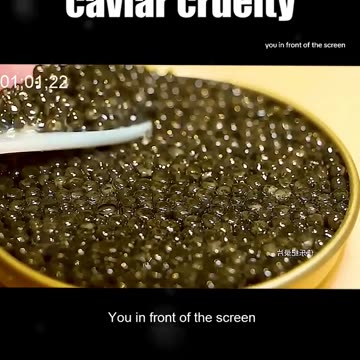 Black gold (sturgeon caviar