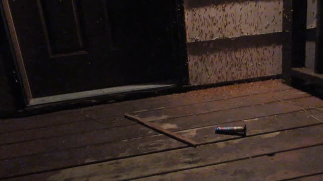 Bugs vs. Human! She ventures out to check out the swarm of insects! Porch adventures!