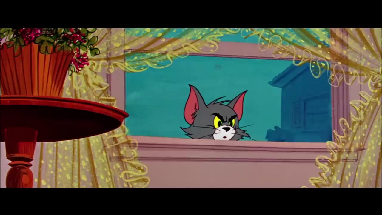 Tom and jerry cartoon