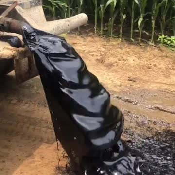 SMOKING GUN: Whistleblower Ryan Peter Exposes Evil Oil Conspiracy #OILGATE