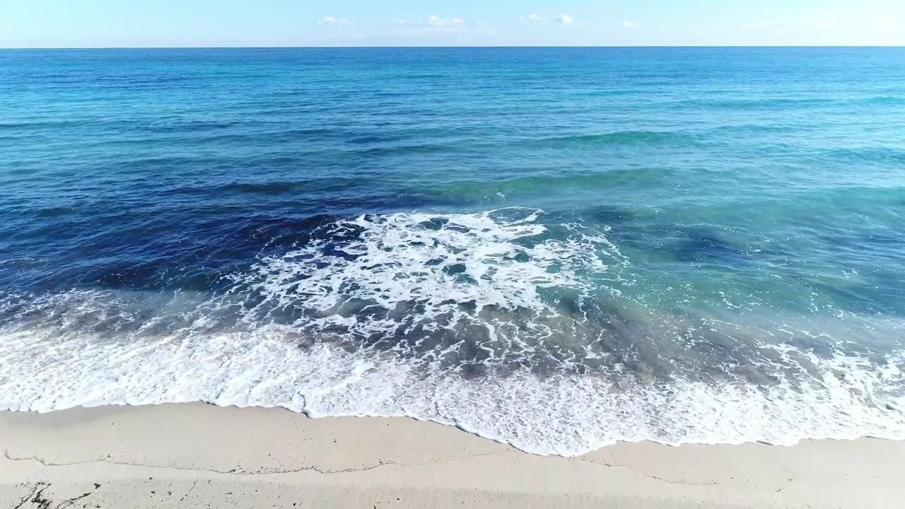 Pleasant beach waves with bird sounds