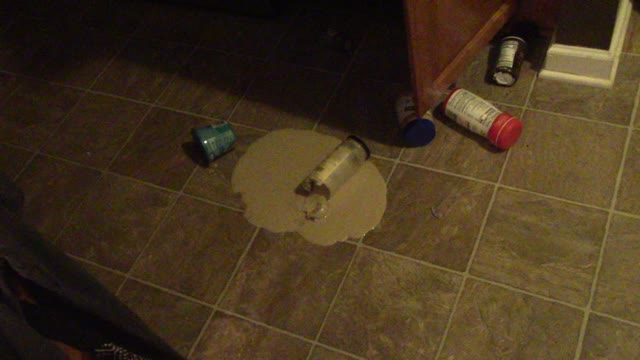 cats take zero responsibility, just like liberals