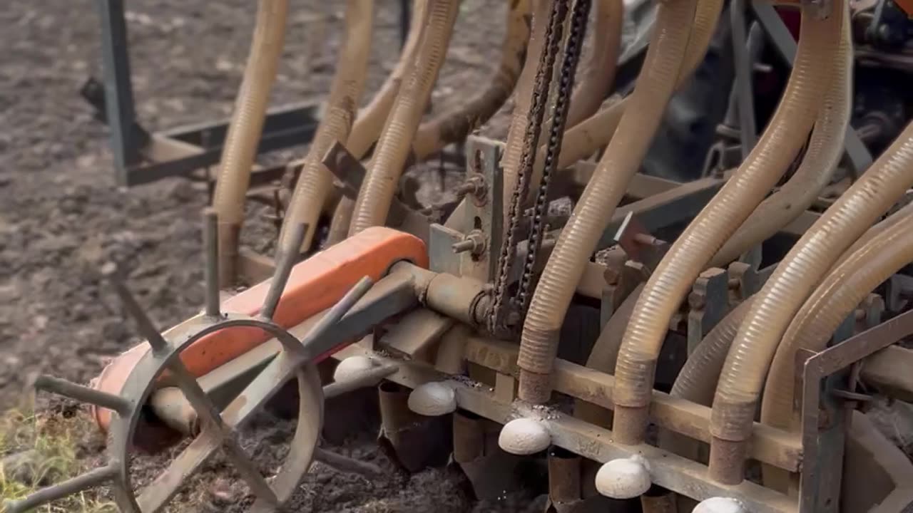 onion seed sowing machine