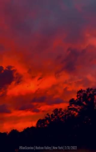 Dan Scavino driving into NY 7-31-22