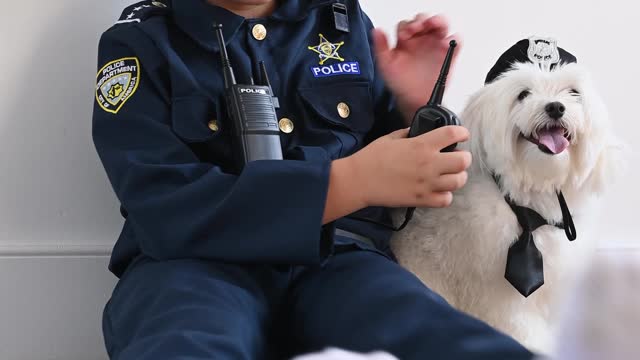 Police dogs training #short